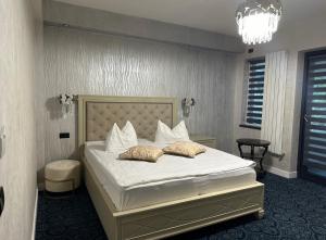 Pensiunea Izvoare Olanesti 3***