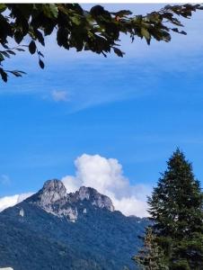 CasaPiergiulia - Canzo - Lago di Como -Parcheggio - Wifi