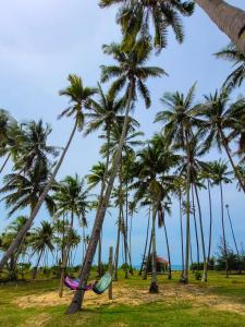 MILLBROOK HOUSE TERENGGANU