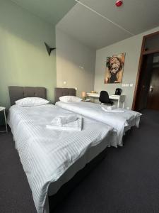 Hotel Vento