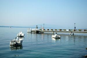 Cosy 1-Bed Apartment with Parking Included - CF31-4