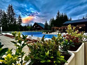 Domeniul CRIS Vatra Dornei