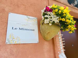 Le Mimose