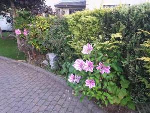 Armadale Studio 1-Bed Sleeps 2 Onsite Parking