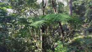 Entire Place 2 Bedroom Ground House Free Parking