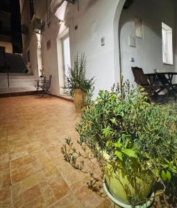 Conte Cavour B&B