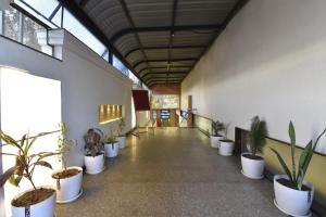 HOTEL SHAILY ROYAl