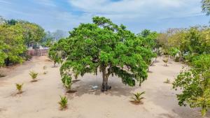 Bliss Yoga cottage & Shala Arugam Bay