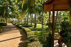 Iberostar Waves Punta Cana -Inclusive
