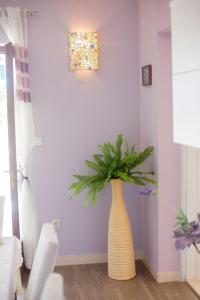 Apartman Orhideja, Bol,Otok Brač