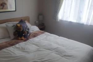 Sleeps 6 Pets Allowed & Free Parking