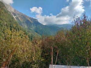 Harsil woodstone homestay