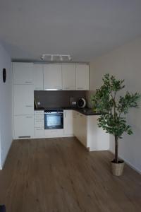 Ferienwohnungen Rosengarten