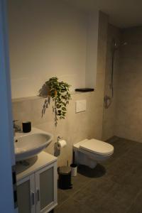 Ferienwohnungen Rosengarten