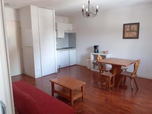 Appartement 2 pièces pour 4 avec piscine, proche Saint-Lary-Soulan et navette télécabine - FR-1-504-272 - Hotel 3 stelle a Vignec