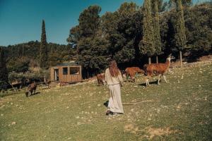 Chalets Parcel Tiny House Barroux, entoure par les lamas pres du Mont Ventoux : photos des chambres