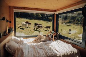 Chalets Parcel Tiny House Barroux, entoure par les lamas pres du Mont Ventoux : photos des chambres