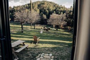 Chalets Parcel Tiny House Barroux, entoure par les lamas pres du Mont Ventoux : photos des chambres