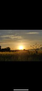 Green farm Camping