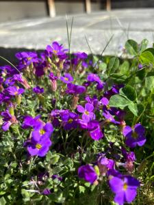 Casa Romantica - ein Alpiner Traum