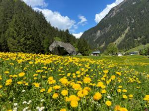 Casa Romantica - ein Alpiner Traum