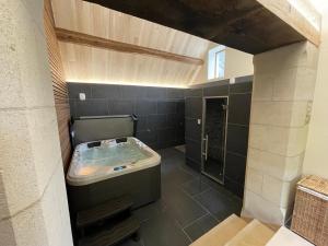 B&B / Chambres d'hotes Chambre Chinon : photos des chambres