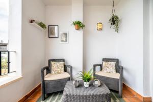 Congrio - Resort Holiday Treat