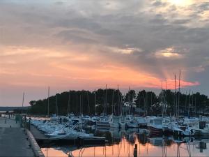 Appartements Studio Bleu Nature - Hourtin, Medoc : photos des chambres