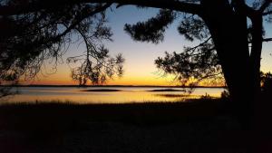Appartements Studio Bleu Nature - Hourtin, Medoc : Studio Supérieur