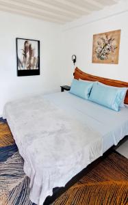 Bougainvillea guesthouse