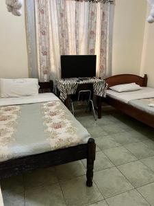 Diani forest lodge