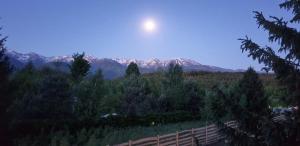 Pensiunea Petra Verde