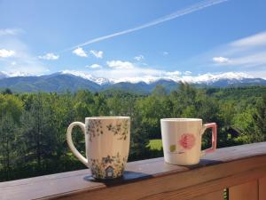 Pensiunea Petra Verde