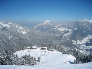 Appartements 2 pieces cabine pres des pistes - Parking - Vue montagne - FR-1-573-40 : photos des chambres