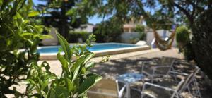 Riumar "Cologne", 300m to beach, private pool, On-Site-Service, dog beach
