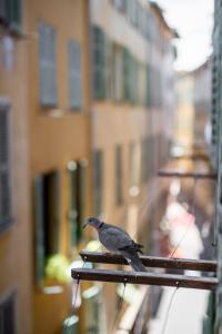 "LArtist" by EnjoyNice, 2-room, airco, in Old Nice