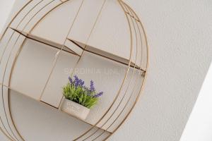 Villa Oro del Mattino img65