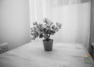 Oasis Homestay - Ubytování bez kategorie ve městě Arusha