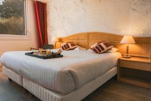 Hotels Hotel Edenia - Spa Estime&Sens : photos des chambres