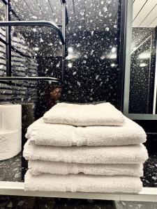 Victorian Loft Living Hotel 22