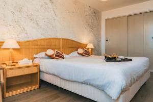 Hotels Hotel Edenia - Spa Estime&Sens : photos des chambres