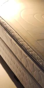 Jacaranda Olivos Lofts