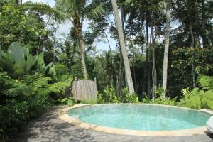 Jalan Subak Sala Banjar Sala, Ubud, Bali, Indonesia.