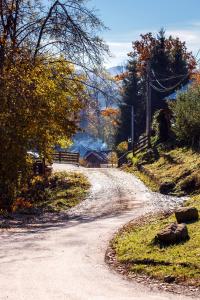 Pension Perla Bucovinei