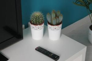 Mondello Suites FLH - Anemone