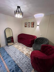 شمس العقاد الفندقيه