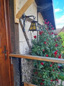 Appartements Studio chez Eve et Momo : photos des chambres