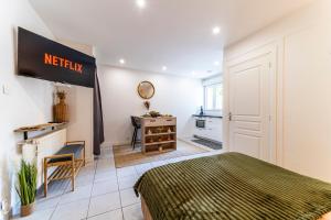 Appartements Le Minorel - Wifi - Netflix -Free Parking - Metro : photos des chambres