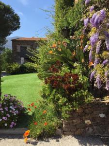 Domaine du Mas de Peyres