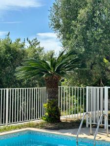 Villa Passiflore with garden and private swimming pool